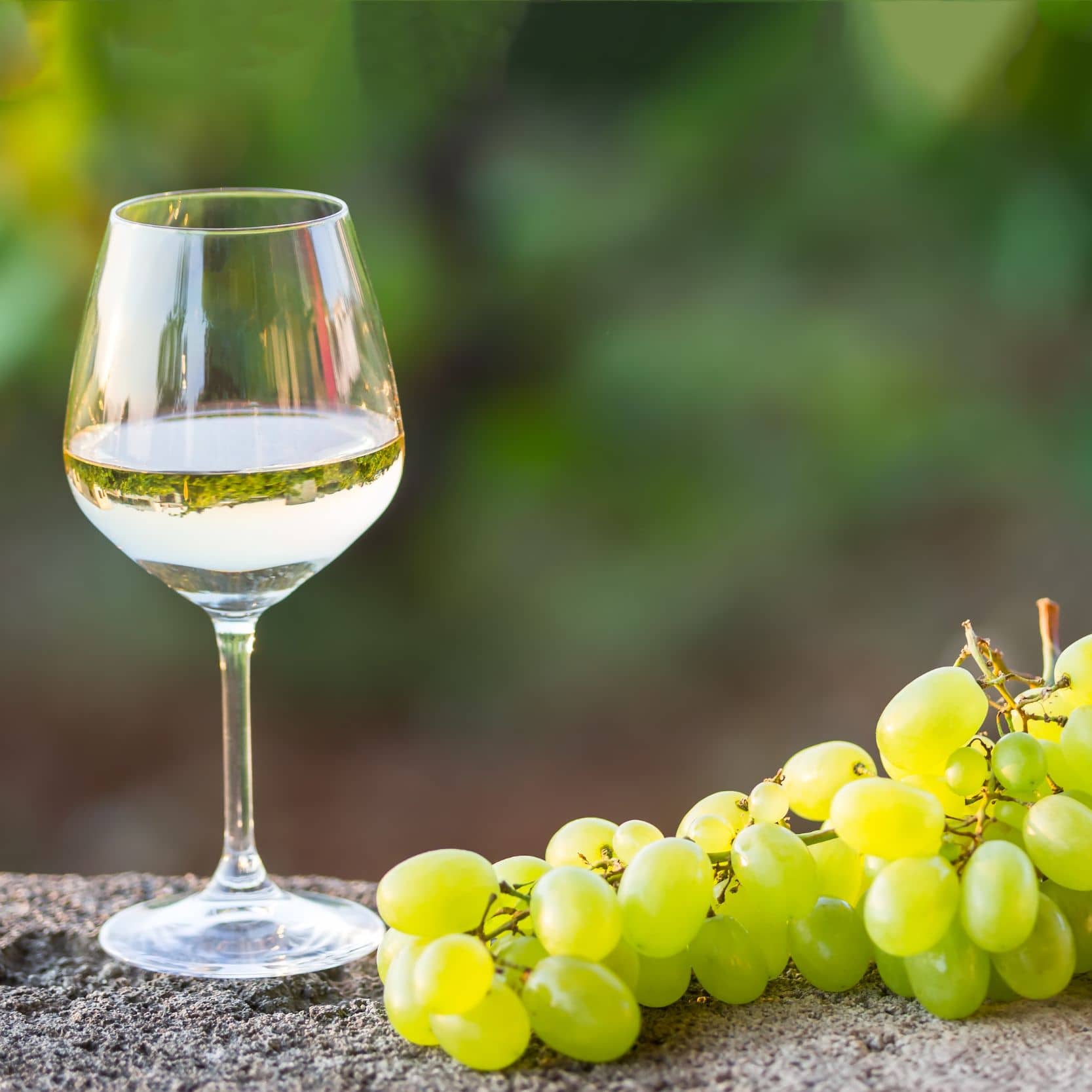 Was macht einen guten Wein aus?