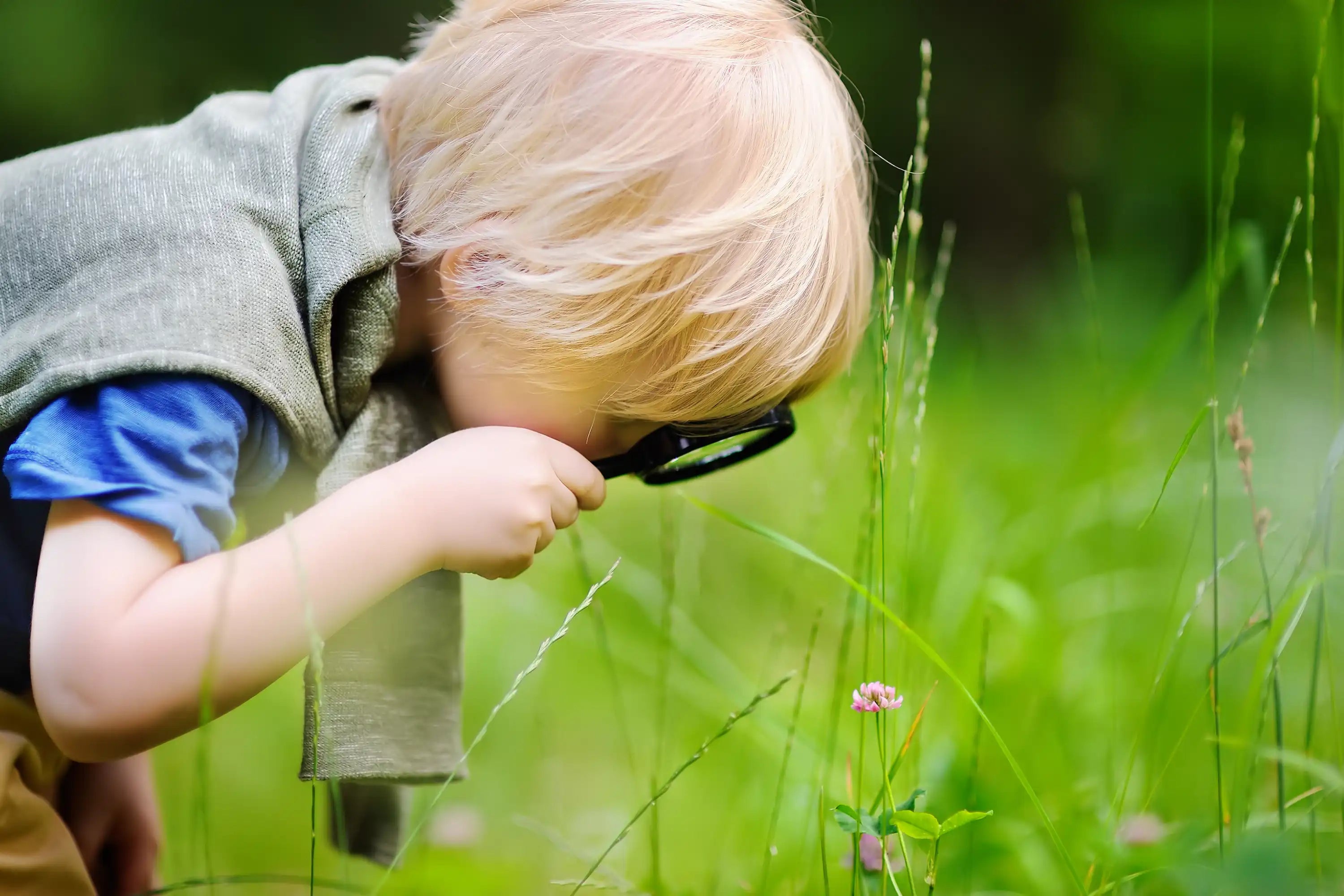 Lernspielzeug kaufen
