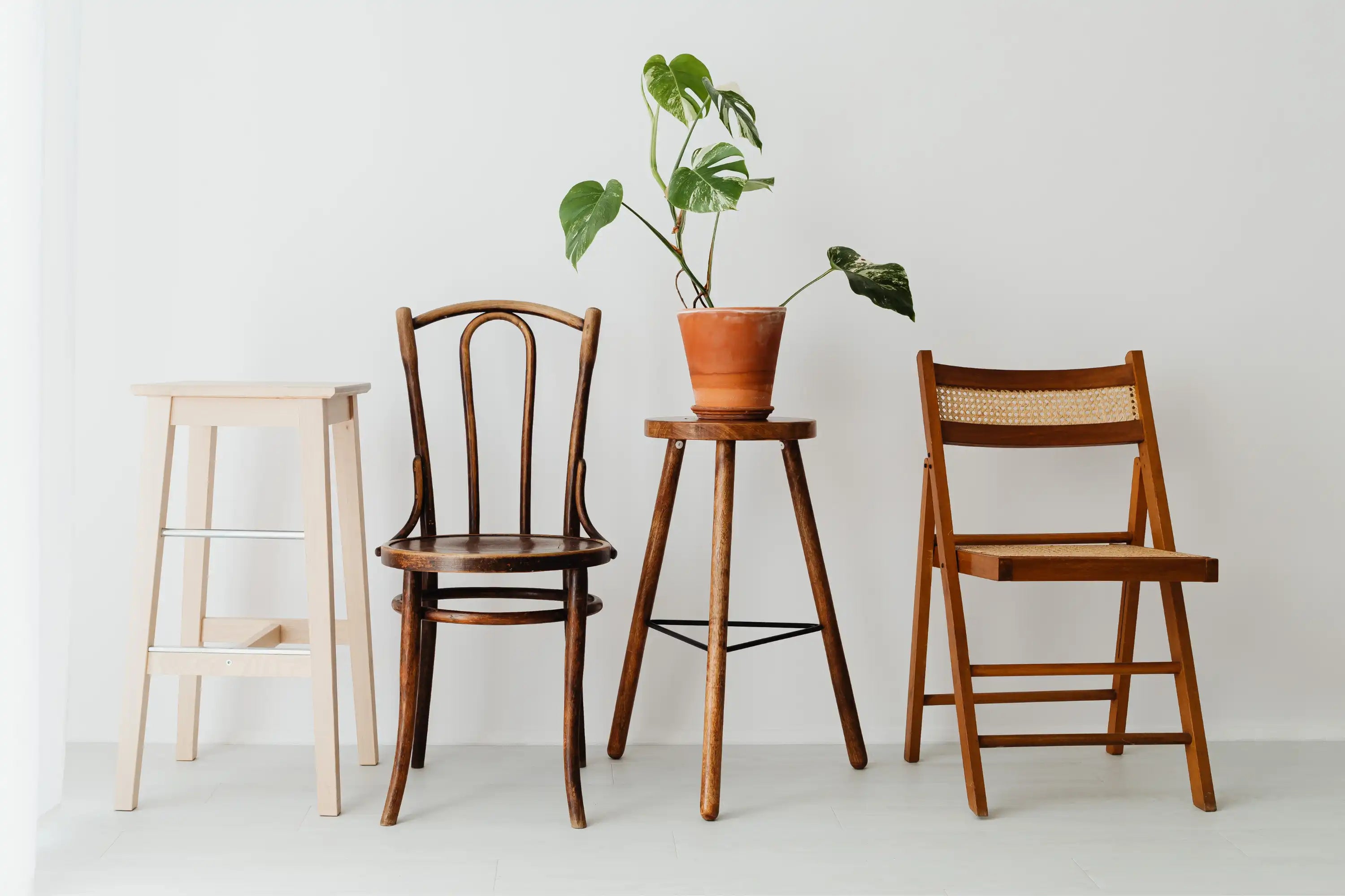 Vier verschiedene Holzstühle und eine Topfpflanze auf einem Hocker vor einer schlichten weißen Wand.