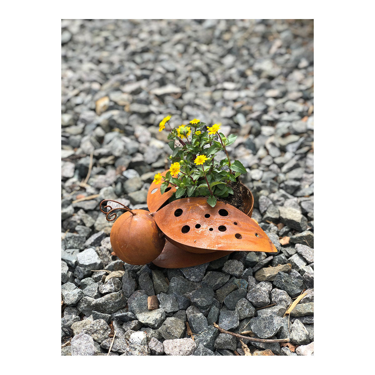 Rostiger Schneckentopf aus Metall in Edelrost-Optik mit gelben Blüten, platziert auf grauen Kiessteinen im Außenbereich.