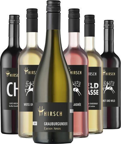 Weinpaket Weingut Hirsch aus Leingarten