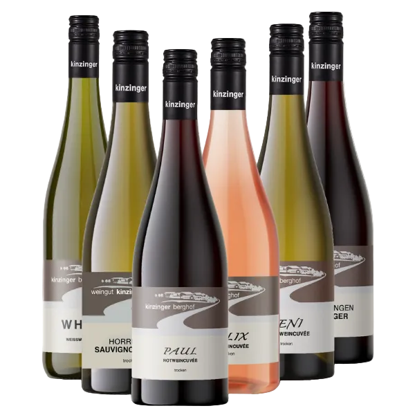 Sechs verschiedene Weinflaschen mit dunklen Verschlüssen vom Weingut Kinzinger, darunter Sauvignon Blanc und mit der Aufschrift „Kinzinger Berghof“, sind in einer Reihe angeordnet – eine mit dem Jungwinzerpreis ausgezeichnete Auswahl.
