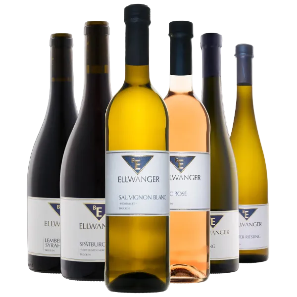 Entdecken Sie das Degustationspaket vom Weingut Bernhard Ellwanger: sechs Flaschen Wein in verschiedenen Sorten und Farben, darunter auch Sauvignon Blanc, elegant nebeneinander arrangiert vor weißem Hintergrund.