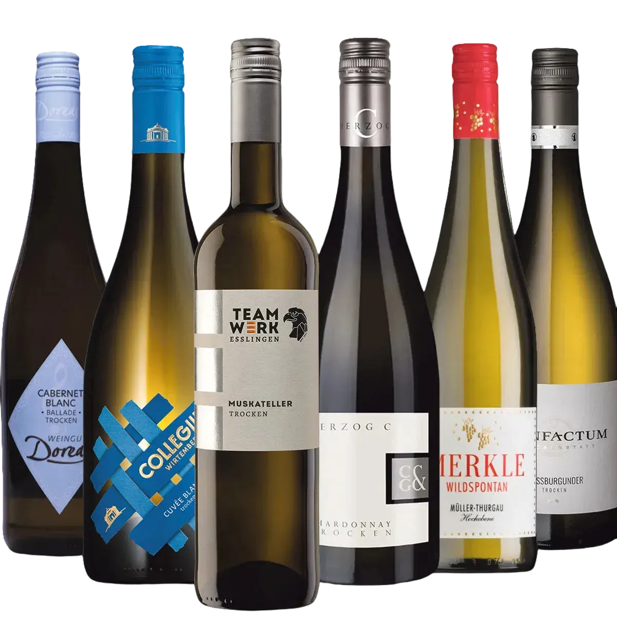 Sechs Weinpaket 3: Weißwein bis 12 EUR Flaschen-perfekt für eine virtuelle Verkostung.