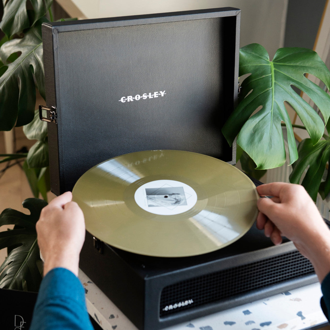 Person legt eine goldene Schallplatte auf einen Crosley Bluetooth Voyager Plattenspieler mit 3 Geschwindigkeiten, umgeben von grünen Zimmerpflanzen.