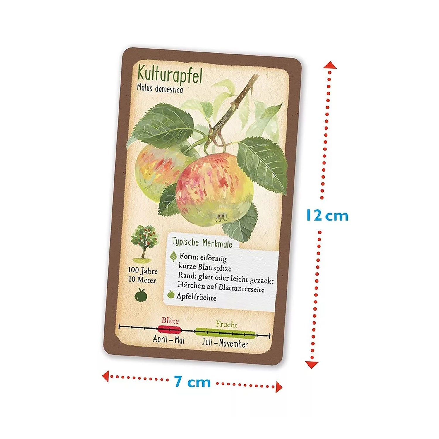 Größe der Bestiimungskarten der Tour durch die Natur