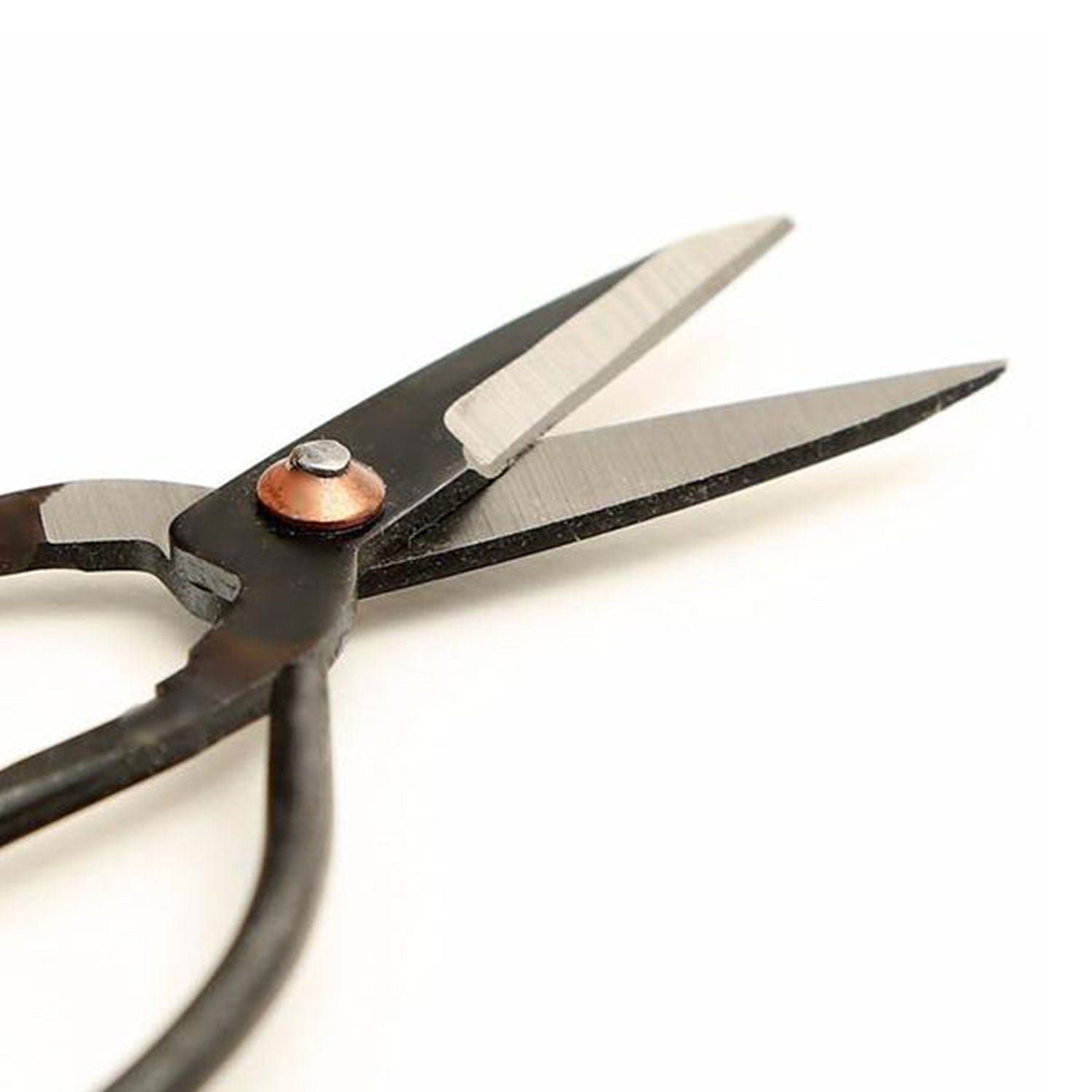 Karbonstahl-Schere schwarz mit Kupfergelenk, für Kräuter und Pflanzenstängel