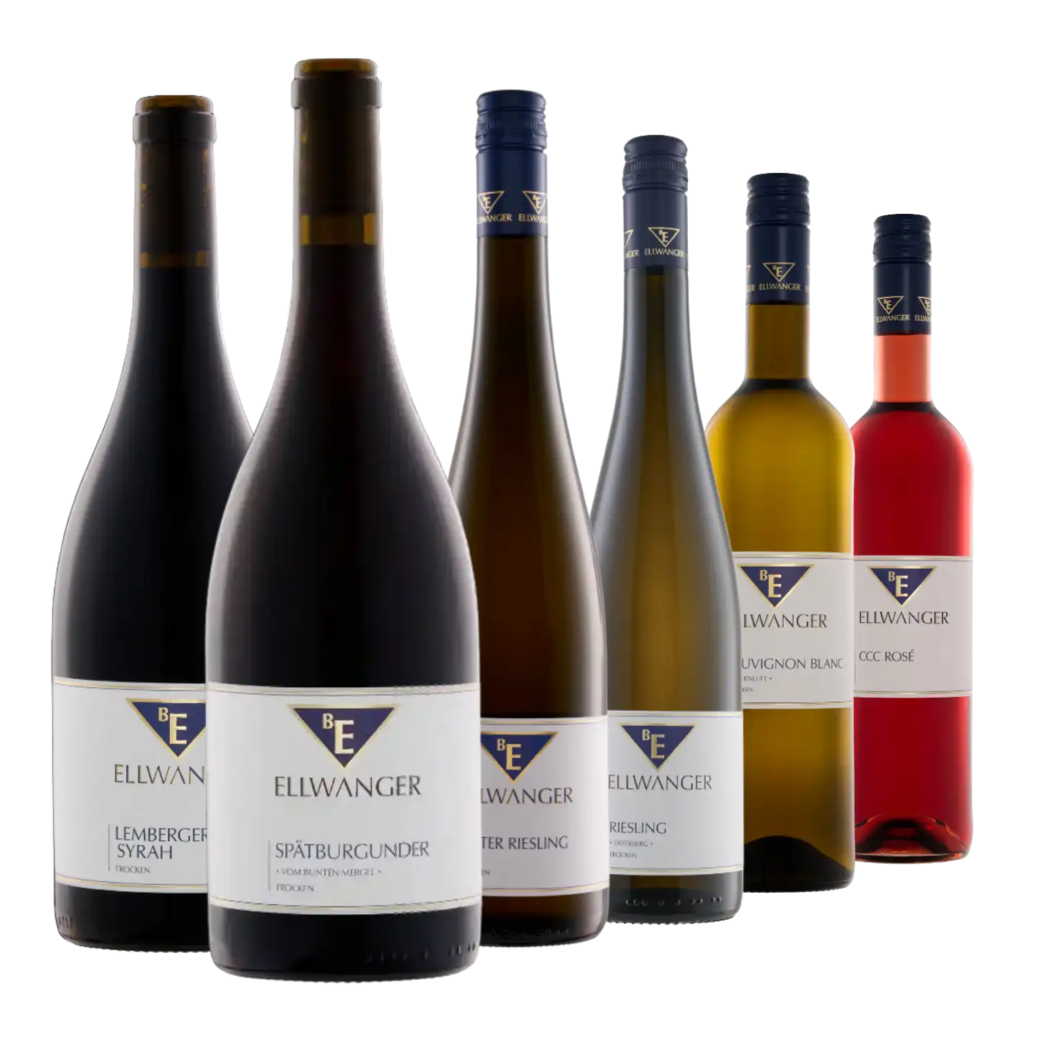 Sechs Degustationspaket Weingut Bernhard Ellwanger Flaschen in einer Reihe auf Weiß.