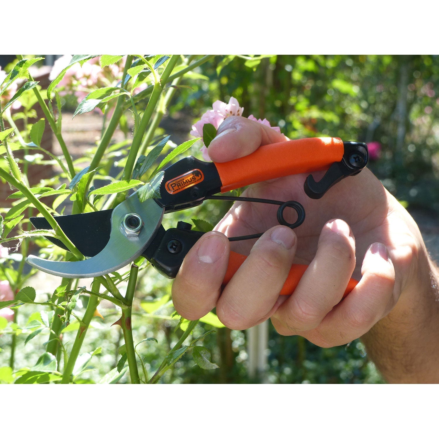 Gartenschere mit Softgrip, ideal für kleine Hände zum Rosenschneiden.