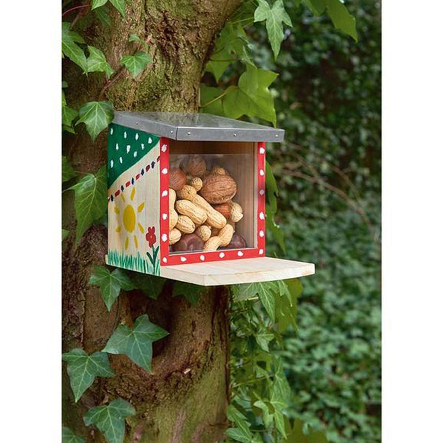 Mit Nüssen gefülltes Futterhaus für Eichhörnchen am Baum