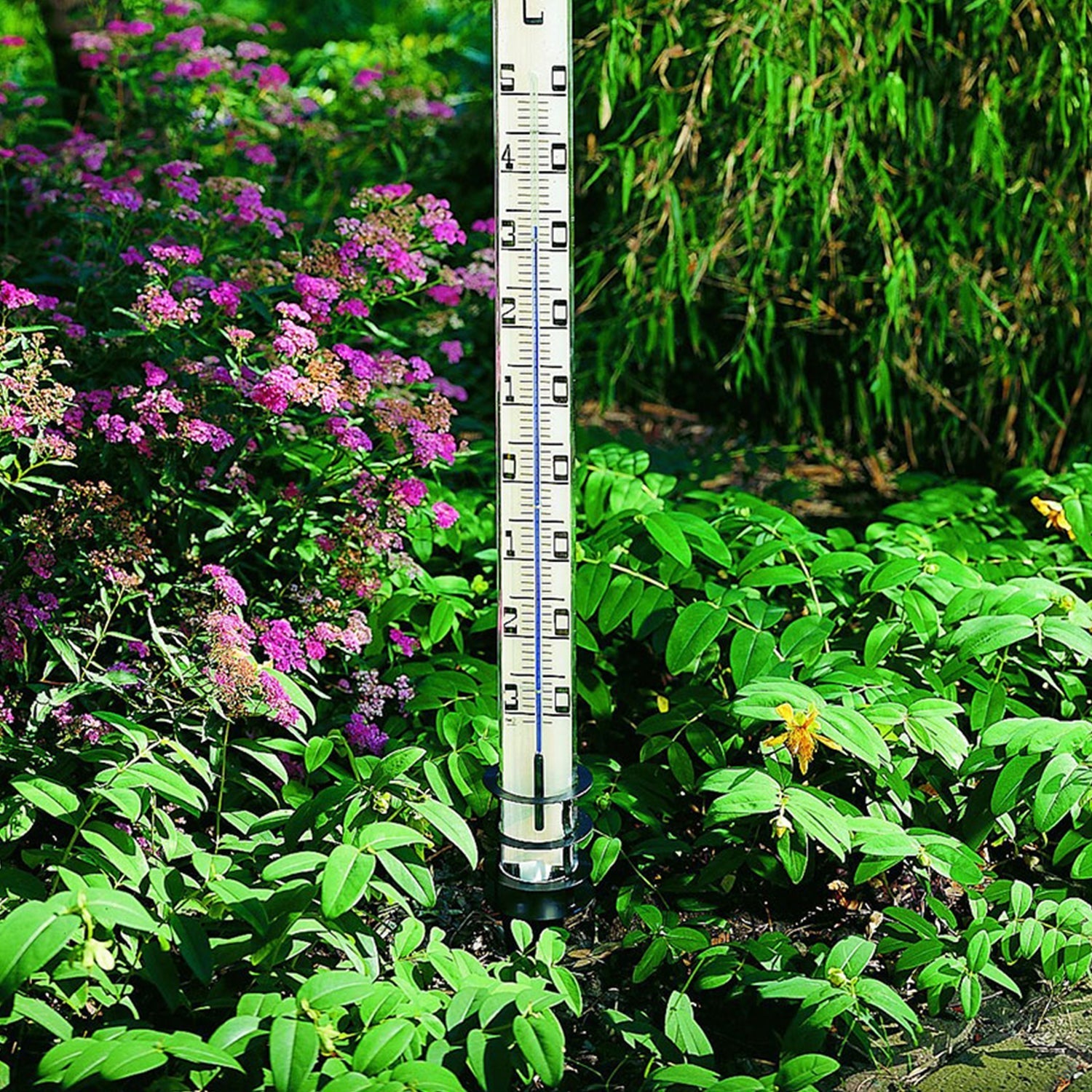 Thermometer für den Garten steht zwischen grünen Pflanzen und lila Blüten.