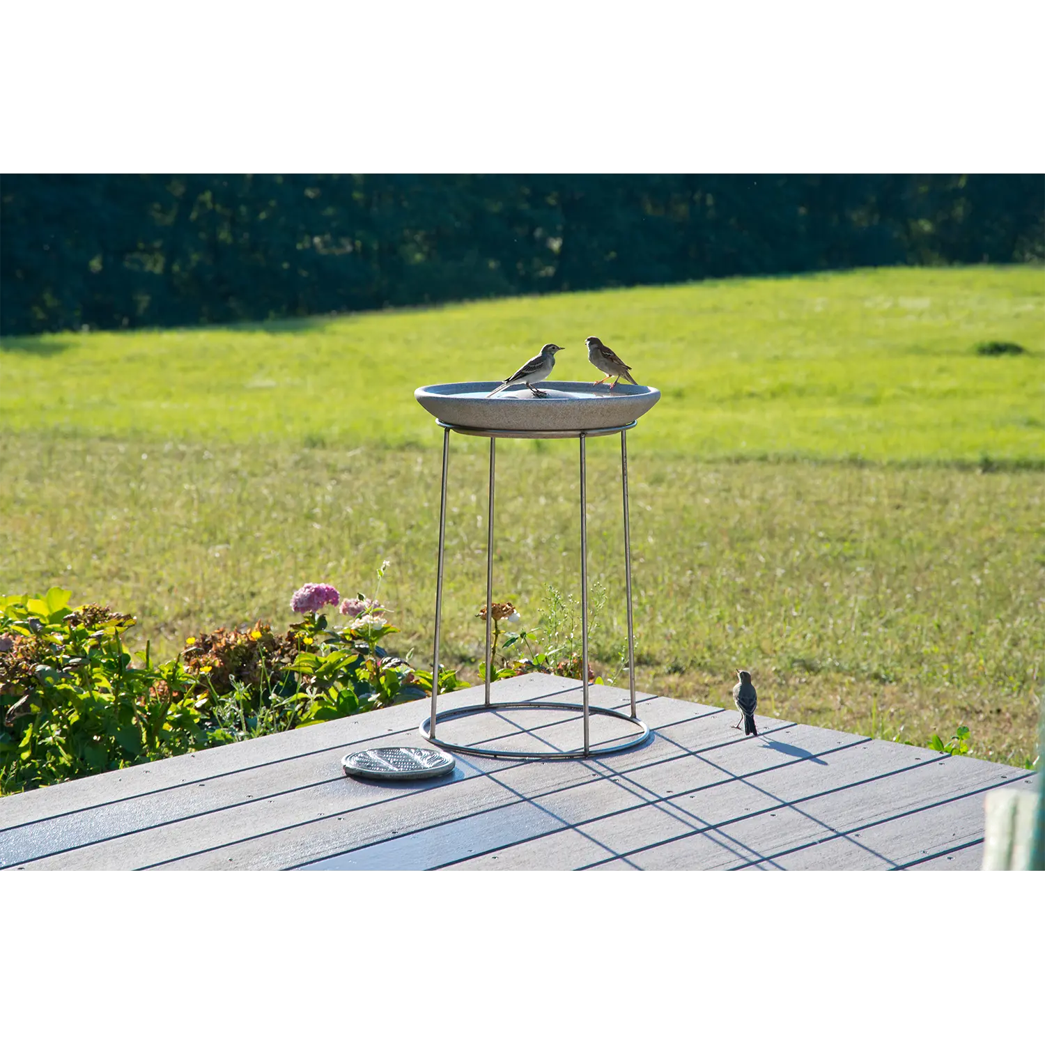 Drei kleine Vögel an einer Vogeltränke Granicium mit Ständer, dahinter Terrasse und Gras.