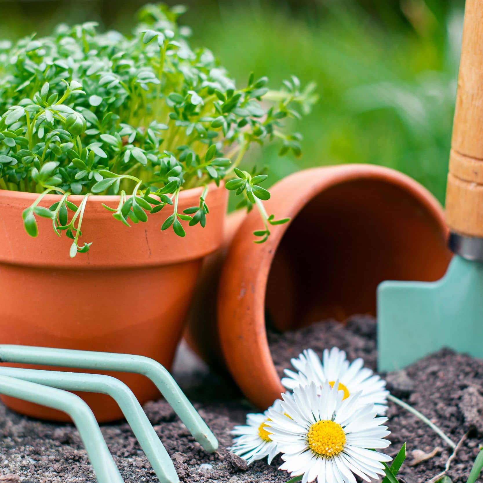 Gartensaison 2026 vorbereiten