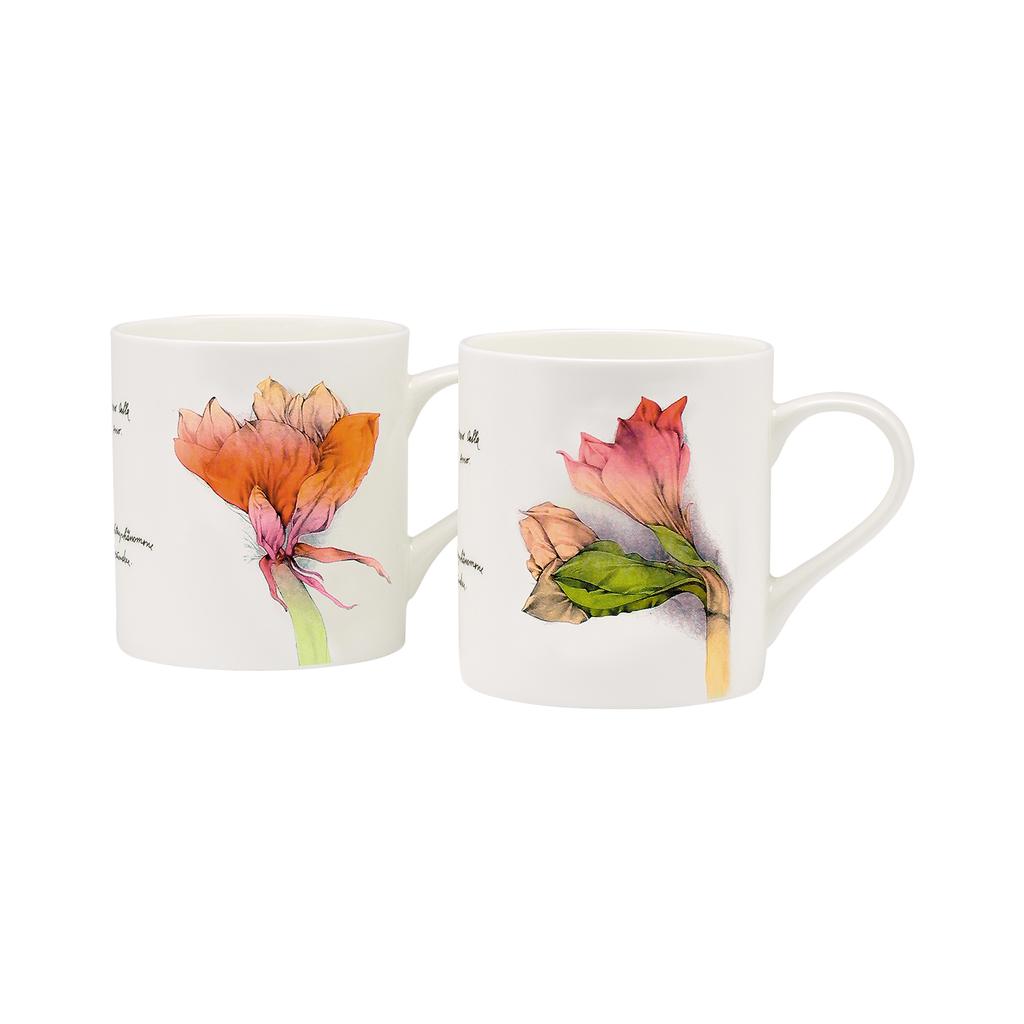 Das 2er Set Tassen "Amaryllis"