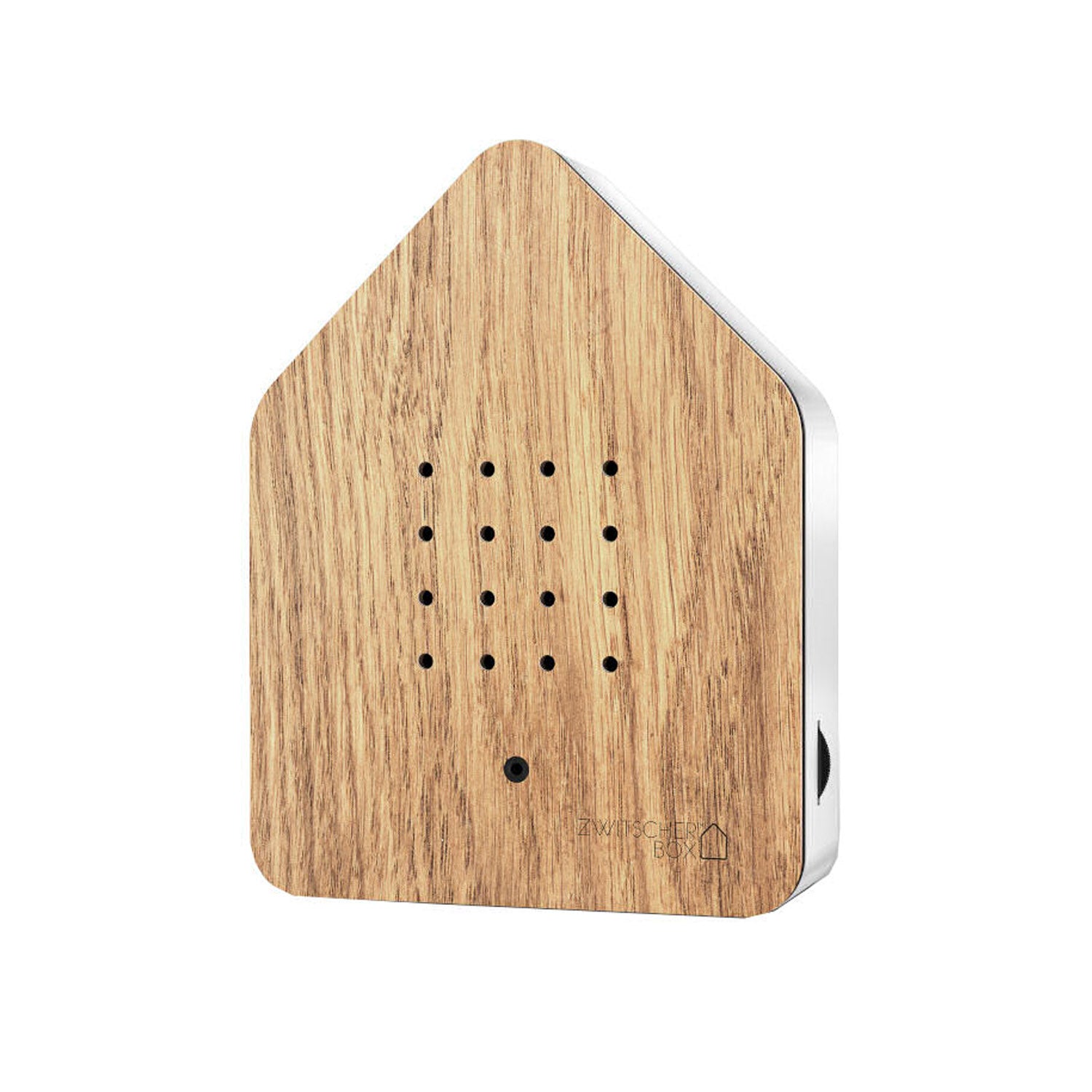 Zwitscherbox Eiche - Bild 4