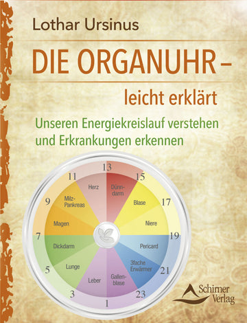 Die Organuhr - leicht erklärt - Bild 1