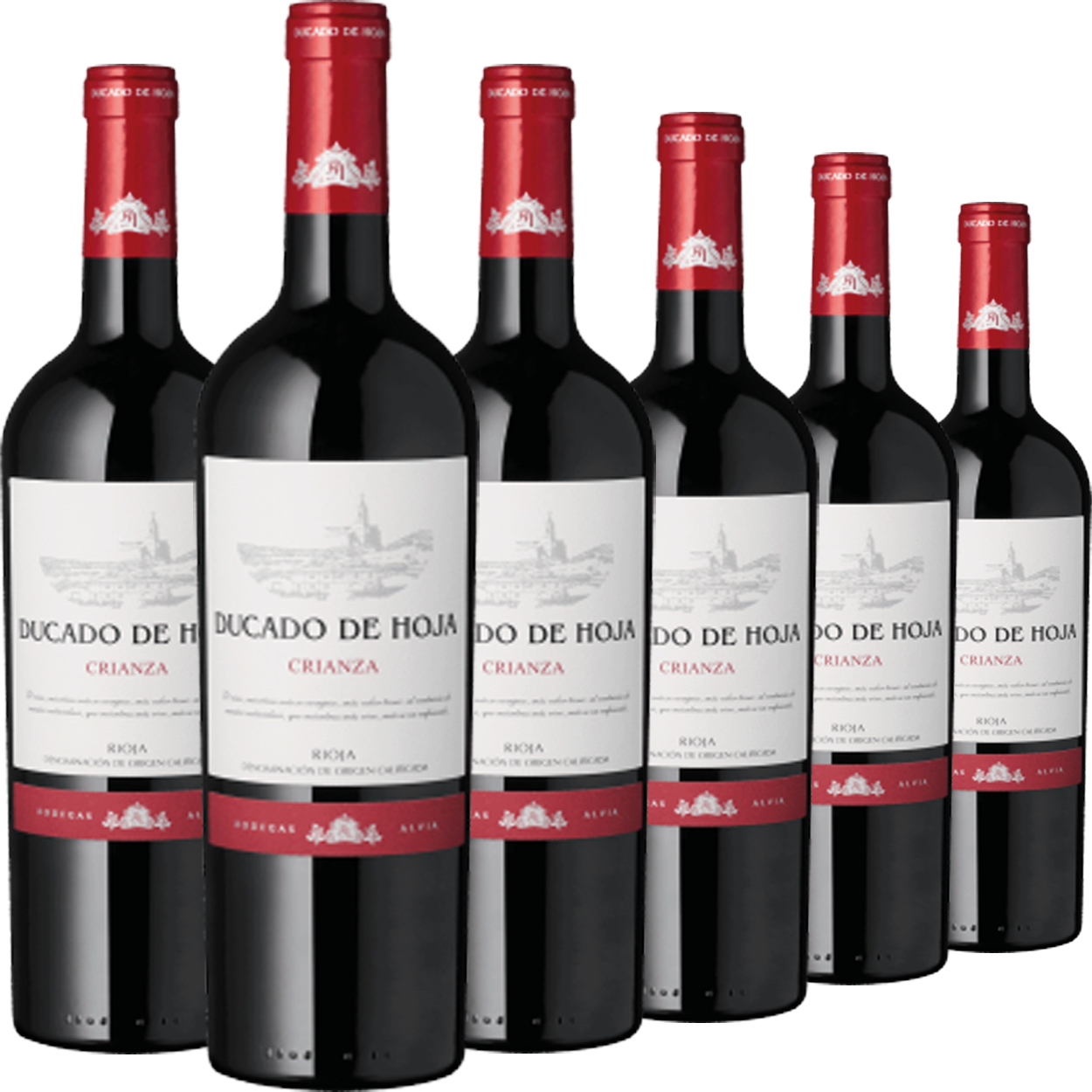 6er Weinpaket „Ducado de Hoja“ Rioja Crianza