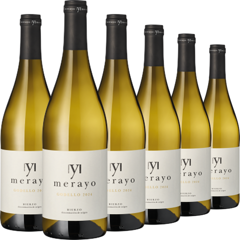 Sechs Flaschen Godello Bierzo