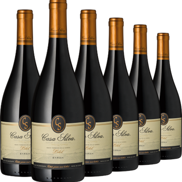 Sechs Flaschen „Gran Terroir de la Costa Lolol“ Syrah, jede mit einem Deckel aus Goldfolie und einem cremefarbenen Etikett versehen, in einer Reihe angeordnet.