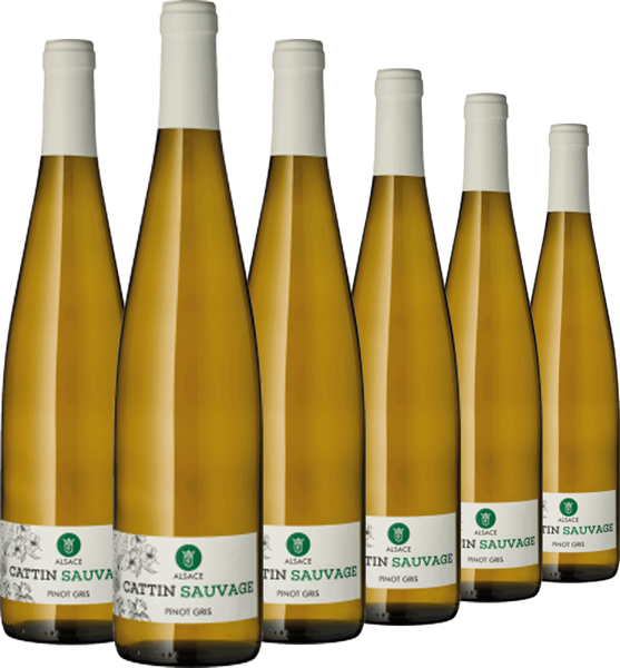 6er-Paket „Sauvage“ Pinot Gris