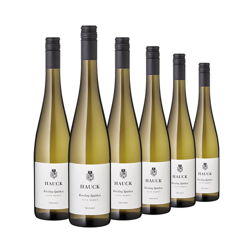 Sechs Flaschen Riesling trocken Alte Reben sind in einer Reihe vor einem weißen Hintergrund angeordnet.