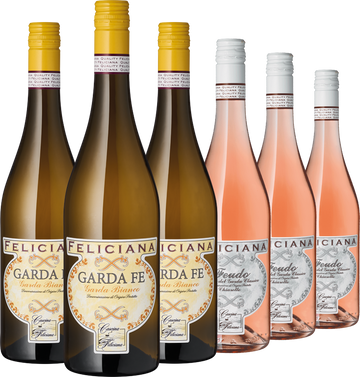 Sechs Flaschen Sonnenschein am Gardasee-Wein – drei Garda Fe Weißwein und drei Chiaretto Rosé di Calvagese – sind ordentlich in zwei Reihen angeordnet.
