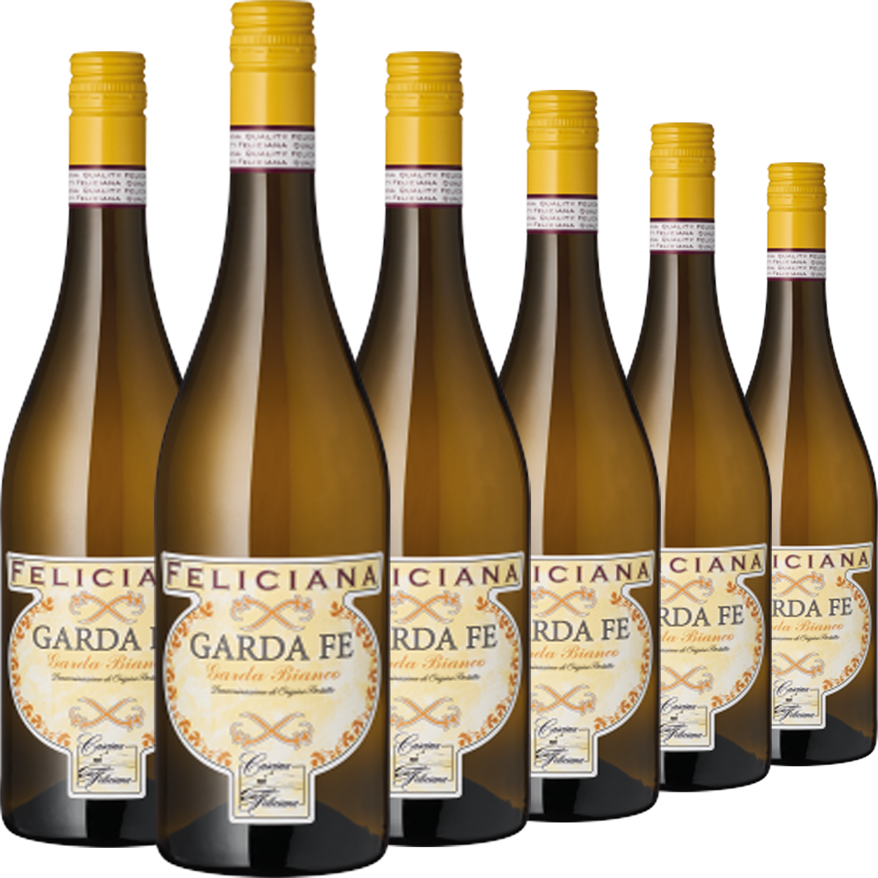 6er Weinpaket „Garda Fe“ Garda Bianco