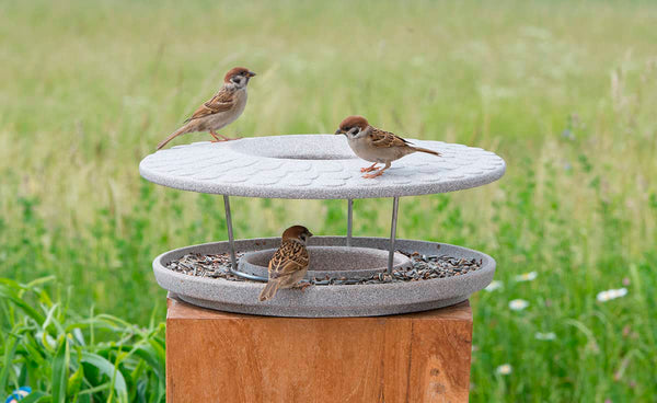 Nahaufnahme eines grauen Vogelhäuschens mit strukturierter Oberfläche  auf dem Vogelfutter verstreut ist  vor einem verschwommenen Gras-Hintergrund.
