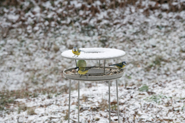 Drei Vögel sitzen an einem runden Vogelhaus auf einem hölzernen Ständer  umgeben von einer Schneelandschaft.
