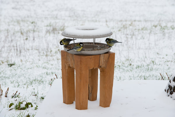 Drei Vögel sitzen an einem runden Vogelhaus auf einem hölzernen Ständer  umgeben von einer Schneelandschaft.
