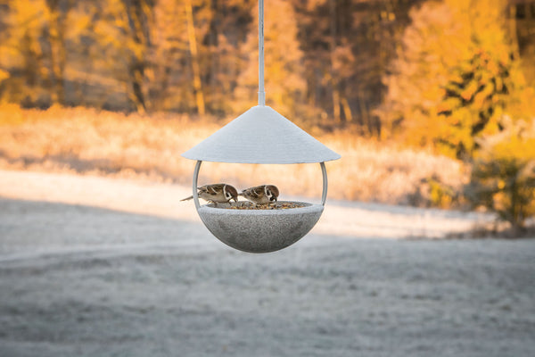 Ein moderner  hängender Vogelfutterspender mit zwei kleinen Vögeln darauf  vor einem verschwommenen Hintergrund einer Wiese und Bäumen.
