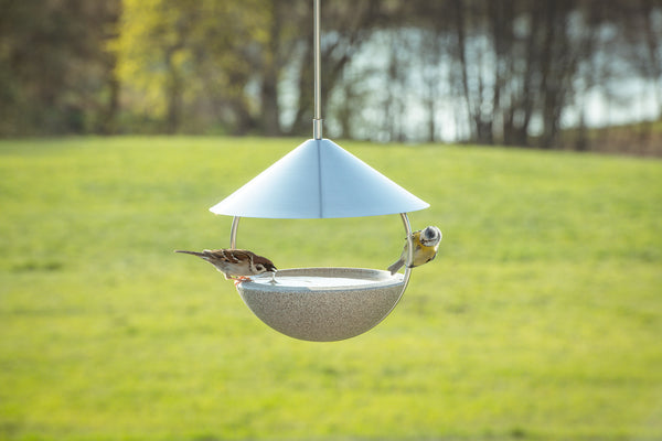 Ein rundes Vogelfutterhaus mit zwei Vögeln darin hängt vor einer unscharfen herbstlichen Landschaft.
