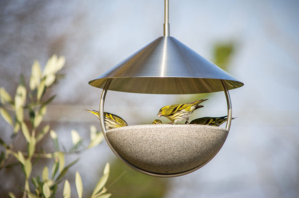 Ein modernes  rundes Vogelhaus aus Metall mit spitzem Dach  in dem mehrere kleine Vögel sitzen  hängt im Freien.
