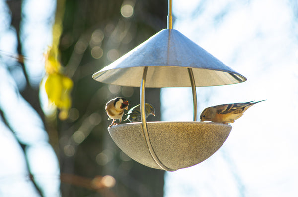 Ein modernes  rundes Vogelhaus aus Metall mit spitzem Dach  in dem mehrere kleine Vögel sitzen  hängt im Freien.
