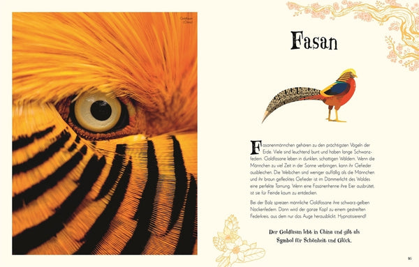 Wundervolle Welt der Tiere - Bild 3