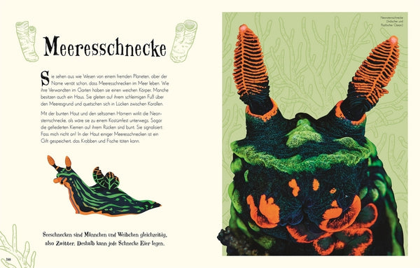 Wundervolle Welt der Tiere - Bild 5