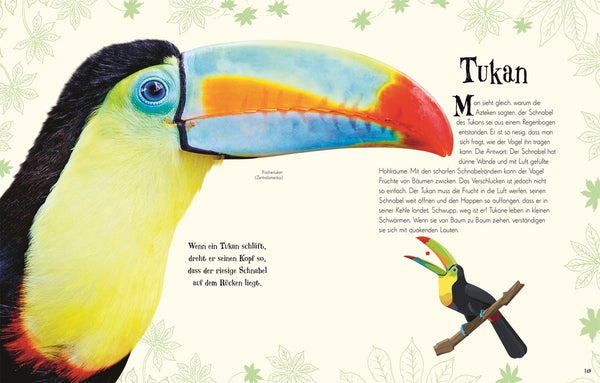 Wundervolle Welt der Tiere - Bild 6