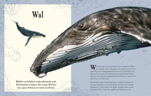 Wundervolle Welt der Tiere - Bild 8