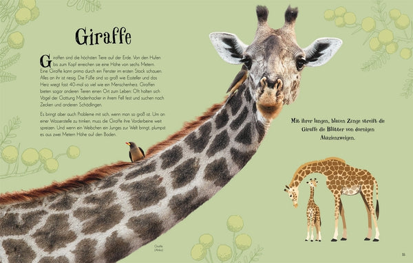 Wundervolle Welt der Tiere - Bild 9