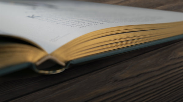 Wundervolle Welt der Tiere - Bild 11