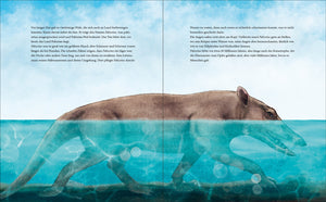 Der Blauwal - Bild 6