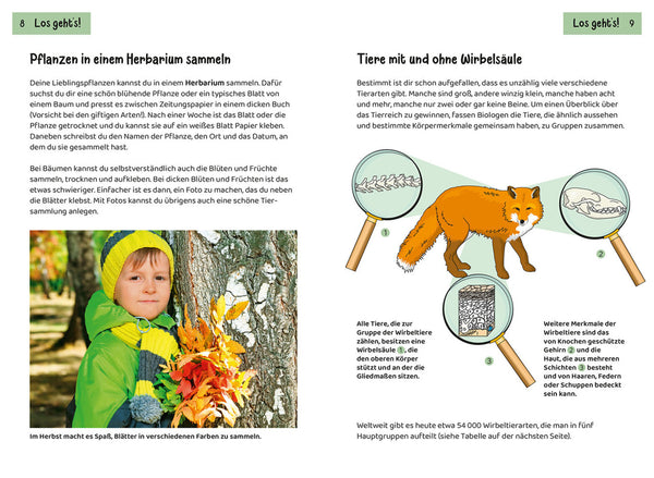Tier- und Pflanzenführer. Kindernaturführer - Bild 5