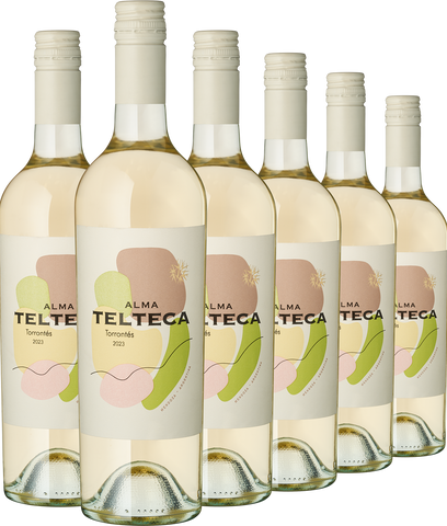 „Alma Telteca“ Torrontes