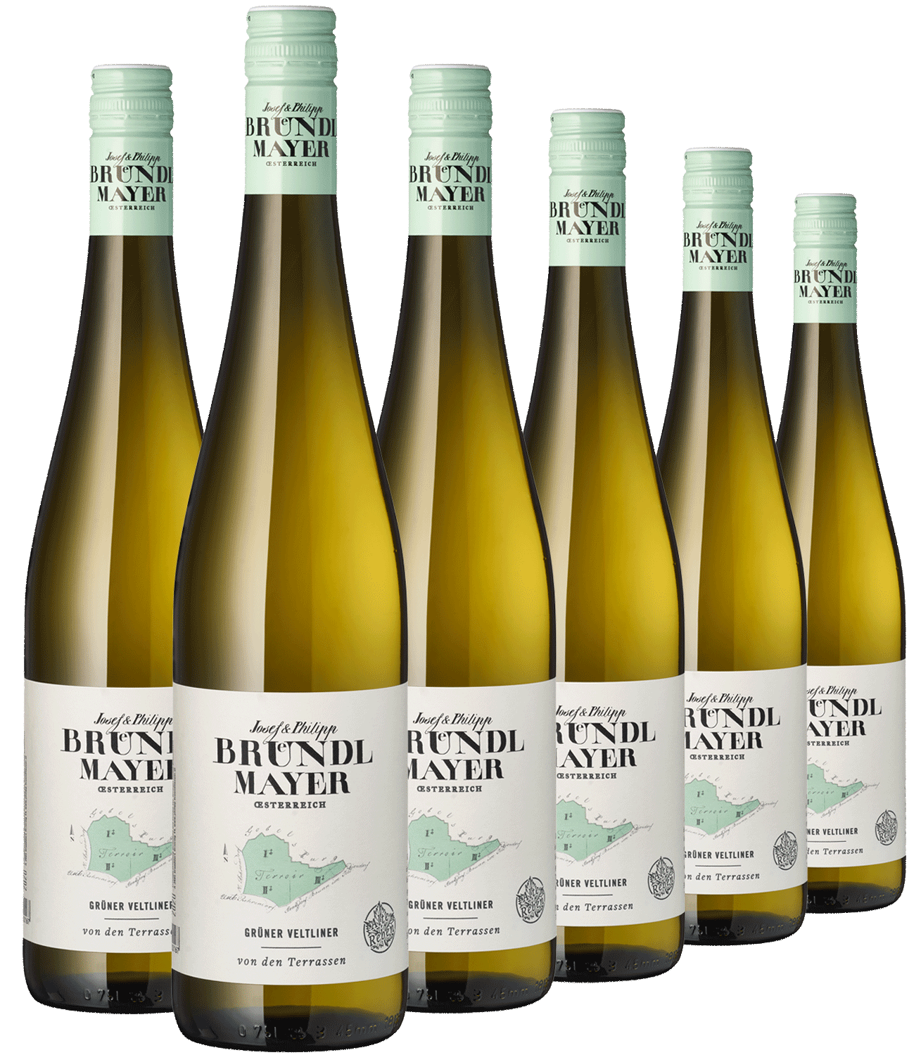 Sechs Flaschen Feiner Terrassenwein, ideal als Sommerwein, sind in zwei versetzten Reihen angeordnet.