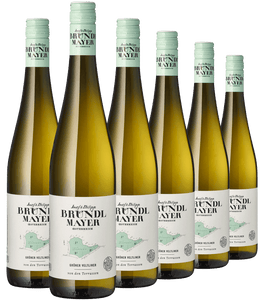 Sechs Flaschen Feiner Terrassenwein, ideal als Sommerwein, sind in zwei versetzten Reihen angeordnet.