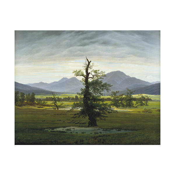 Der einsame Baum steht in einem grünen Feld vor fernen Bergen unter wolkenverhangenem Himmel.