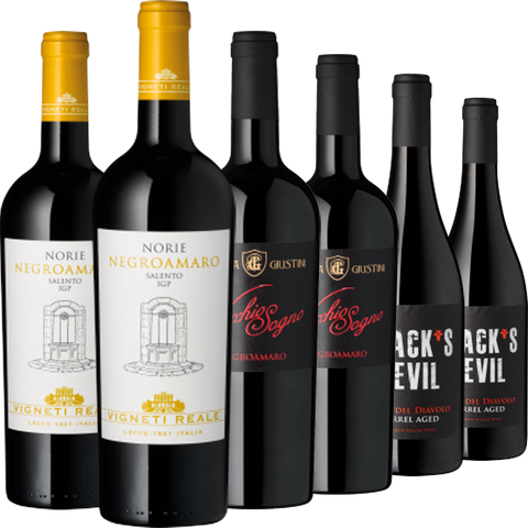 Weinpaket Kraftvolle süditalienische Eleganz mit sechs Flaschen