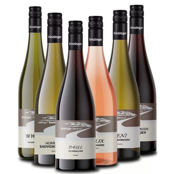 Sechs verschiedene Weinflaschen mit dunklen Verschlüssen vom Weingut Kinzinger, darunter Sauvignon Blanc und mit der Aufschrift „Kinzinger Berghof“, sind in einer Reihe angeordnet – eine mit dem Jungwinzerpreis ausgezeichnete Auswahl.