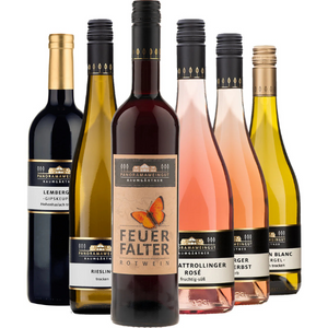 Sechs verschiedene Flaschen deutschen Weins, darunter Sauvignon Blanc Steinmergel und Lemberger Gipskeuper vom Panoramaweingut Baumgärtner, sowie Rot-, Weiß- und Roséweine – alle schön in einer Reihe angeordnet.
