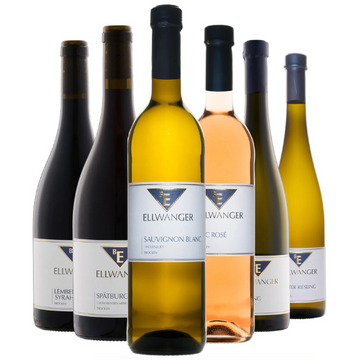 Entdecken Sie das Degustationspaket vom Weingut Bernhard Ellwanger: sechs Flaschen Wein in verschiedenen Sorten und Farben, darunter auch Sauvignon Blanc, elegant nebeneinander arrangiert vor weißem Hintergrund.